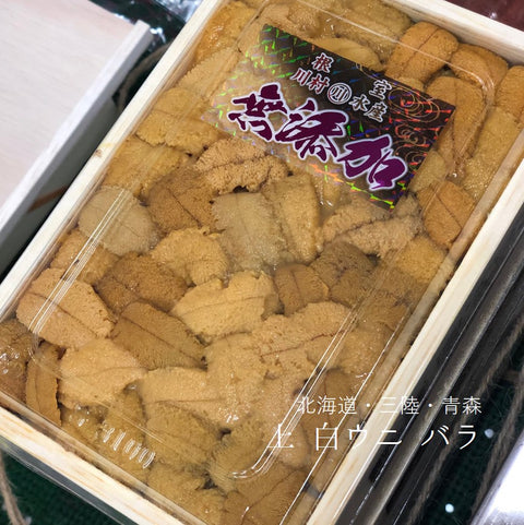 上ウニ バラ 北海道・青森・三陸・沿海州 他 ムラサキウニ 白ウニ 約200-250g 弁当箱【白ウニバラx1】冷蔵