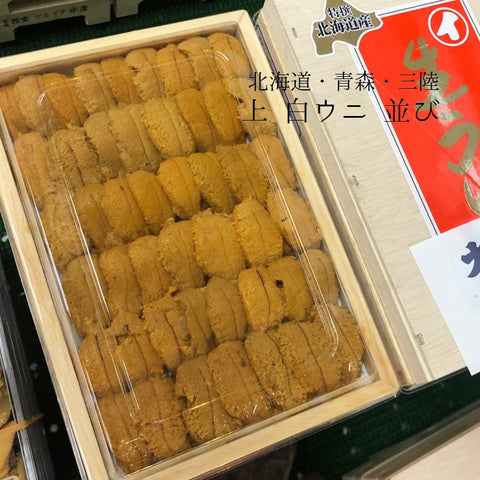 上 白ウニ 並び 北海道・青森・三陸・沿海州 産 ムラサキウニ 白ウニ 約200-250g 弁当箱【白ウニ並びｘ１】冷蔵