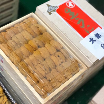 上 白ウニ 並び 北海道・青森・三陸・沿海州 産 ムラサキウニ 白ウニ 約200-250g 弁当箱【白ウニ並びｘ１】冷蔵