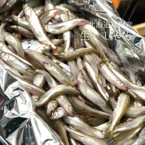 北海道 生シシャモ 厚岸産 オス/メス混合 柳葉魚【生ししゃも500g】冷蔵 豊洲直送