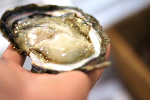 岩牡蠣 春香 殻付き牡蠣 生食用カキ 島根県隠岐の島産 Sサイズ 10個【豊洲直送】 冷蔵 かき 岩かき はるか【春香10個】 冷蔵