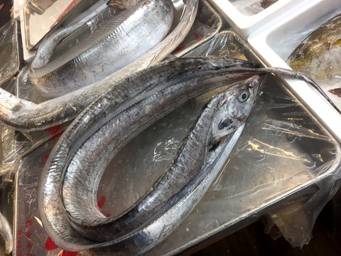 生 天然 太刀魚 タチウオ 丸一本 和歌山/九州産 他 豊洲直送 1-1.5kg【太刀魚１－１．５Ｋ】 冷蔵