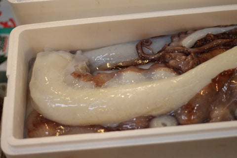 生蛸足 タコ足 国産(北海道・岩手他)豊洲直送 1kg 刺身 水蛸 ミズダコ 水ダコ【生タコ足1K】 冷蔵