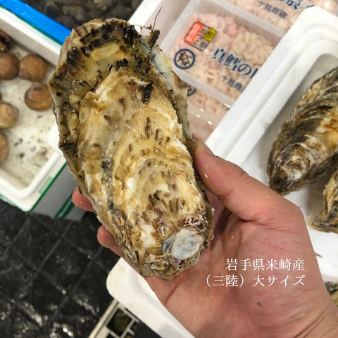 春の真牡蠣セット(殻付き牡蠣 生食用カキ)3種各5個計15個セット(三陸米崎・室津・竹崎)豊洲の目利き厳選 【春の牡蠣セット】冷蔵