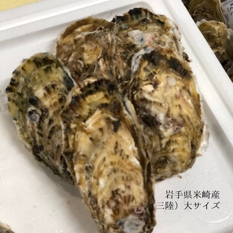 春の真牡蠣セット(殻付き牡蠣 生食用カキ)3種各5個計15個セット(三陸米崎・室津・竹崎)豊洲の目利き厳選 【春の牡蠣セット】冷蔵