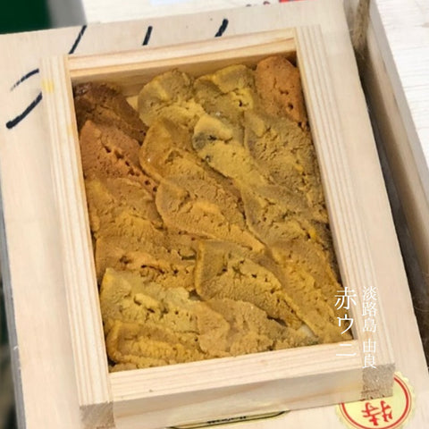 由良 赤ウニ 淡路島 由良 50g前後 2番手【由良赤ウニー2番手】冷蔵 豊洲直送