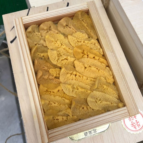 特上 由良 赤ウニ(アカウニ)淡路島 50g前後 【特上_由良赤雲丹】冷蔵 豊洲直送