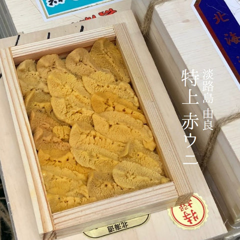 特上 由良 赤ウニ(アカウニ)淡路島 50g前後 【特上_由良赤雲丹】冷蔵 豊洲直送