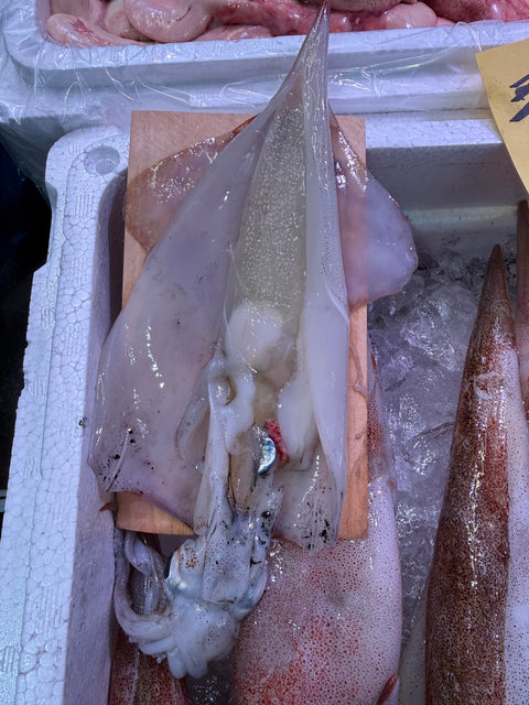 子持ちヤリイカ｜今年も始まりました