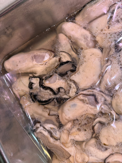 加熱用牡蠣(大)｜身が良くなってきて大変おすすめ