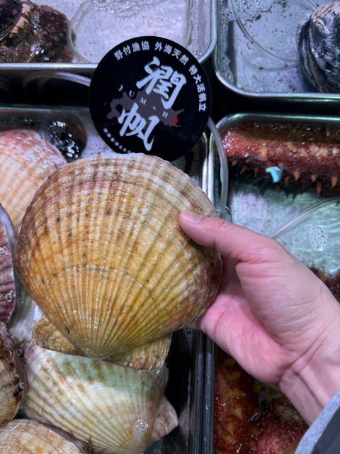 超特大ホタテ「潤帆」｜今日も入荷！とにかく大きい！