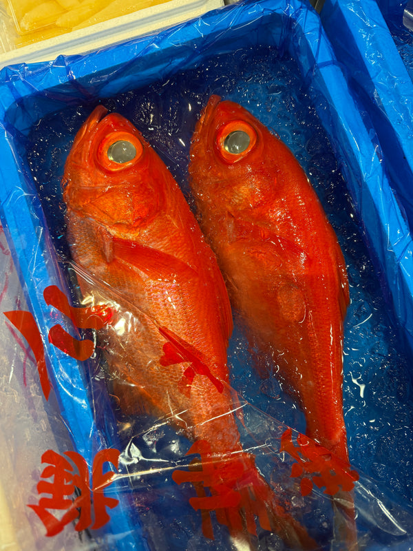 特上 金目鯛｜千葉県産銚子産！大変良くなってきておすすめです。