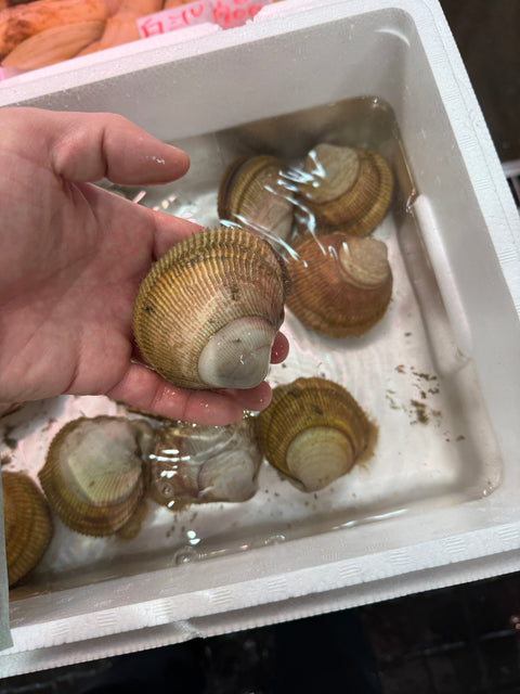 特選鳥貝｜春の代表格！生食が大変美味！