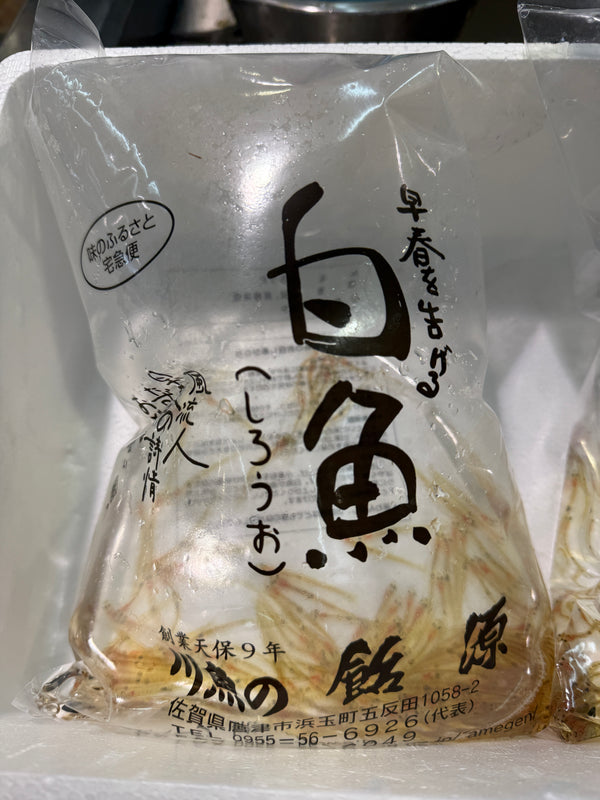 佐賀県産 活シロウオ｜春の風物詩！関東圏限定の商品です