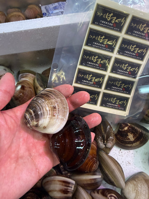 江戸前ハマグリ｜希少品！身の入りも良くおすすめ