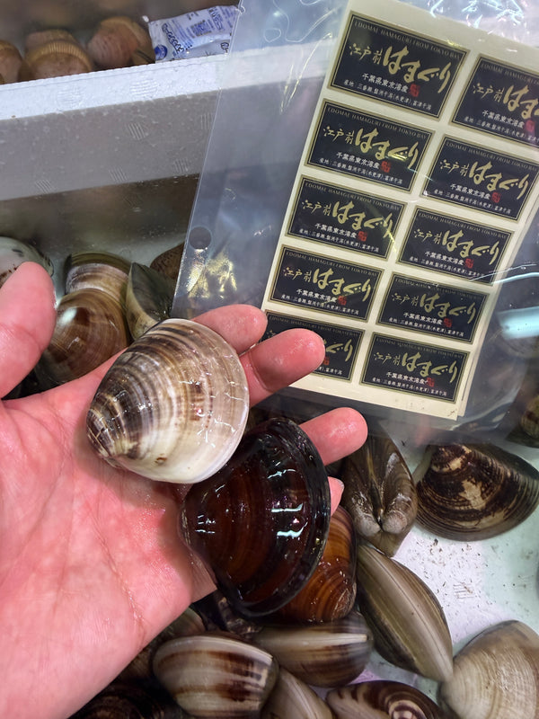 江戸前ハマグリ｜希少品！身の入りも良くおすすめ