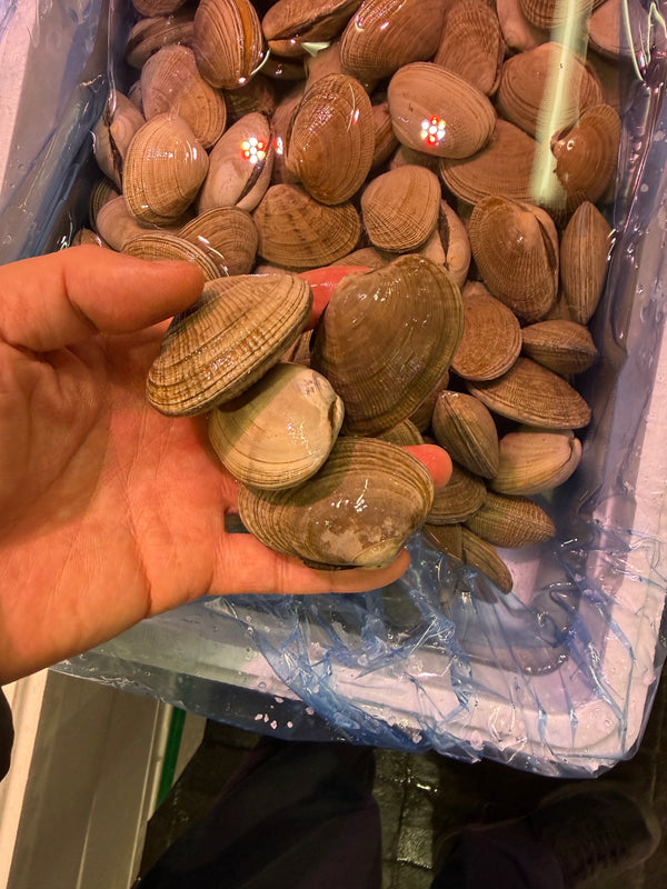北海アサリ｜厚岸産、絶好調です。おすすめ！