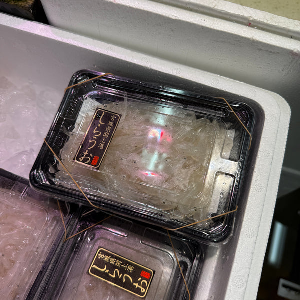 旬の白魚｜評判の閖上産も入荷しております