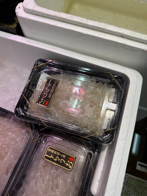 旬の白魚｜評判の閖上産も入荷しております