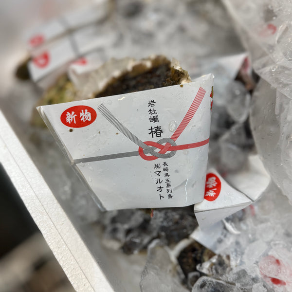 五島列島産椿｜熨斗付き！味も濃くおすすめ。