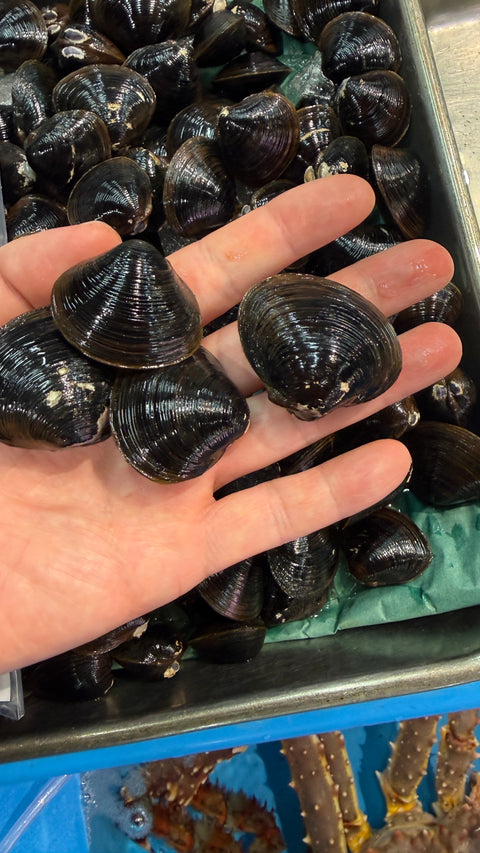 北海道大樹町 特大シジミ｜年に一回だけの漁。たくさんご注文ありがとうございました