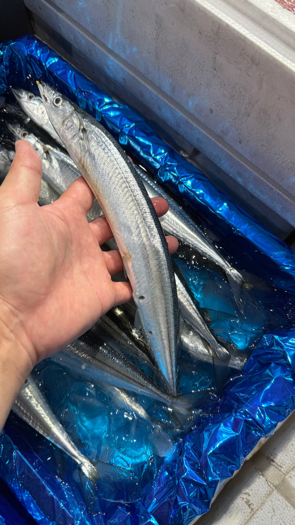 新サンマ｜大サイズは入荷ありますが、特大は中々ありません。