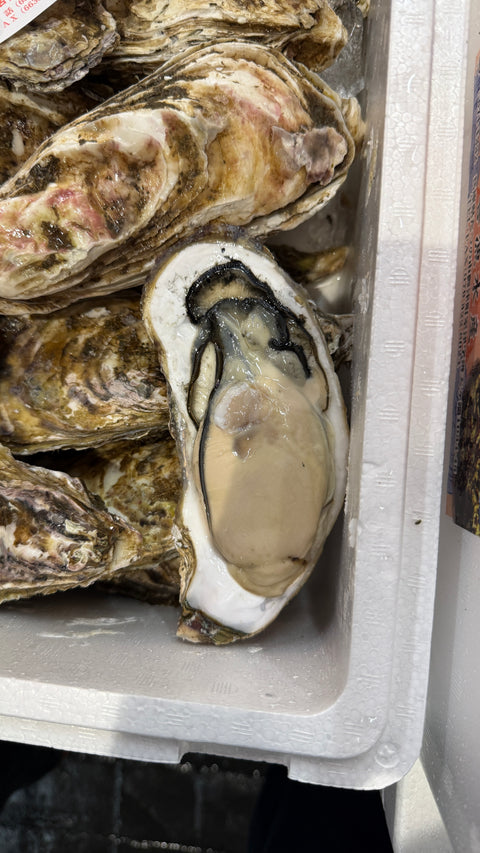 北海道産 真牡蠣｜今イチオシの牡蠣