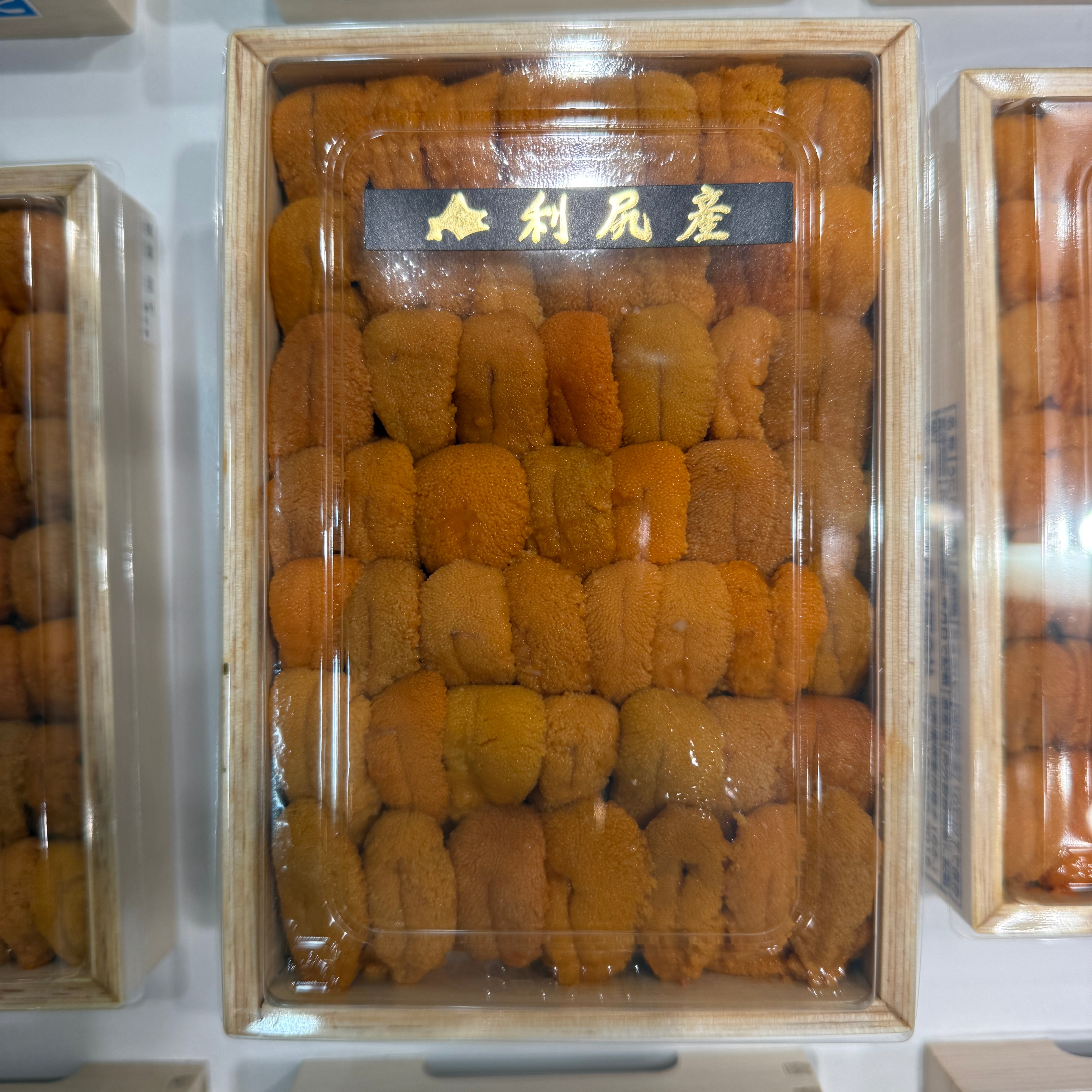 ２月１６日 地元でとれた綺麗に並んだムラサキウニ５枚セット 鮮魚通販［豊洲 Okawari 鮮魚店］殻付きウニ イガウニ