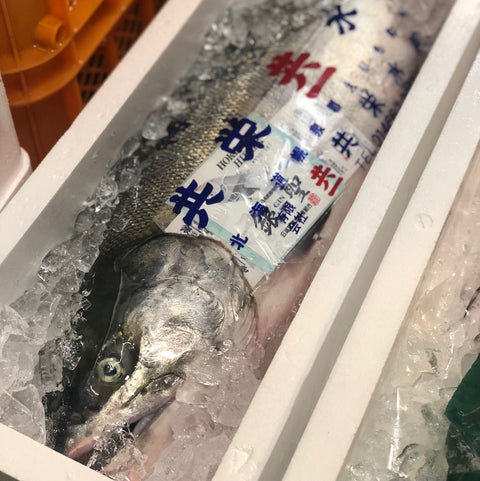 究極の秋鮭「銀聖」入荷開始