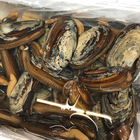 大溝貝 オオミゾガイ 北海道　鮮魚通販　豊洲直送　Okawari 鮮魚店