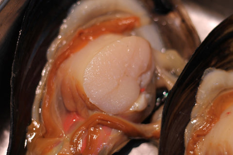 タイラギ　平貝　okawari　豊洲直送　鮮魚通販