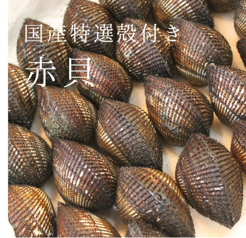 国産赤貝