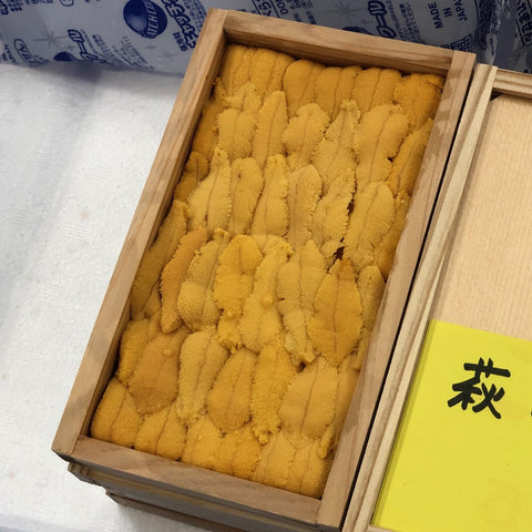 山口県萩産アカウニ