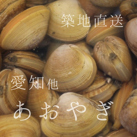 香り抜群のアオヤギ貝！