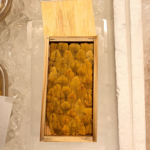 愛媛県　赤ウニ　Okawari　鮮魚通販　豊洲直送