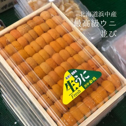 北海道浜中産 特上バフンウニ　並び　豊洲直送　鮮魚通販　Okawari鮮魚店
