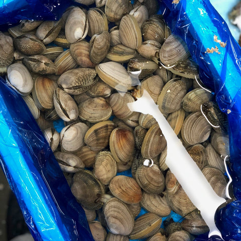 北海アサリ　北海道　おかわり　Okawari 鮮魚店 鮮魚通販　豊洲直送