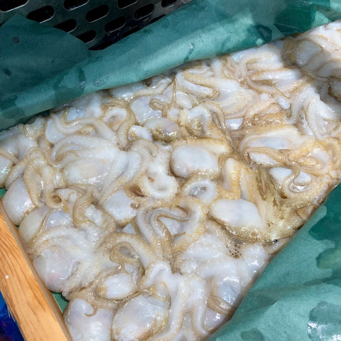 子持ち飯蛸　イイダコ　Okawari　鮮魚通販　豊洲直送