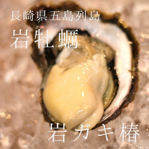  長崎県五島列島　岩牡蠣　椿　Okawari鮮魚店　鮮魚通販