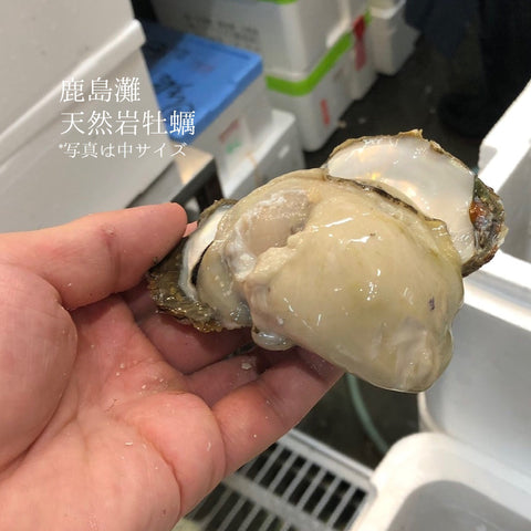 鹿島灘の天然岩牡蠣を、夏の食卓に