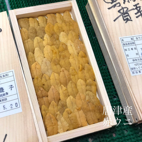 佐賀県唐津市産 特上 唐津 アカウニ