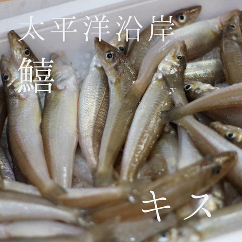 九州・江戸前産など 生キス