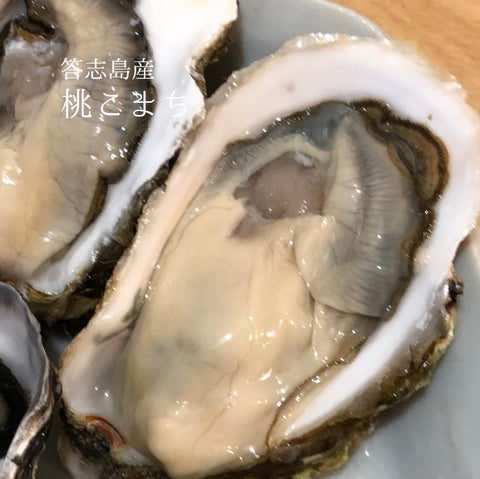 真牡蠣　桃こまち　豊洲直送　鮮魚通販　Okawari　