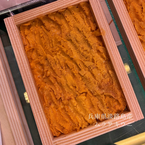 淡路島産 ムラサキウニ