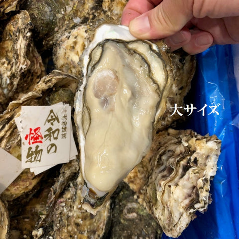 三陸産 真牡蠣