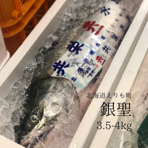 北海道産 特選秋サケ「銀聖」
