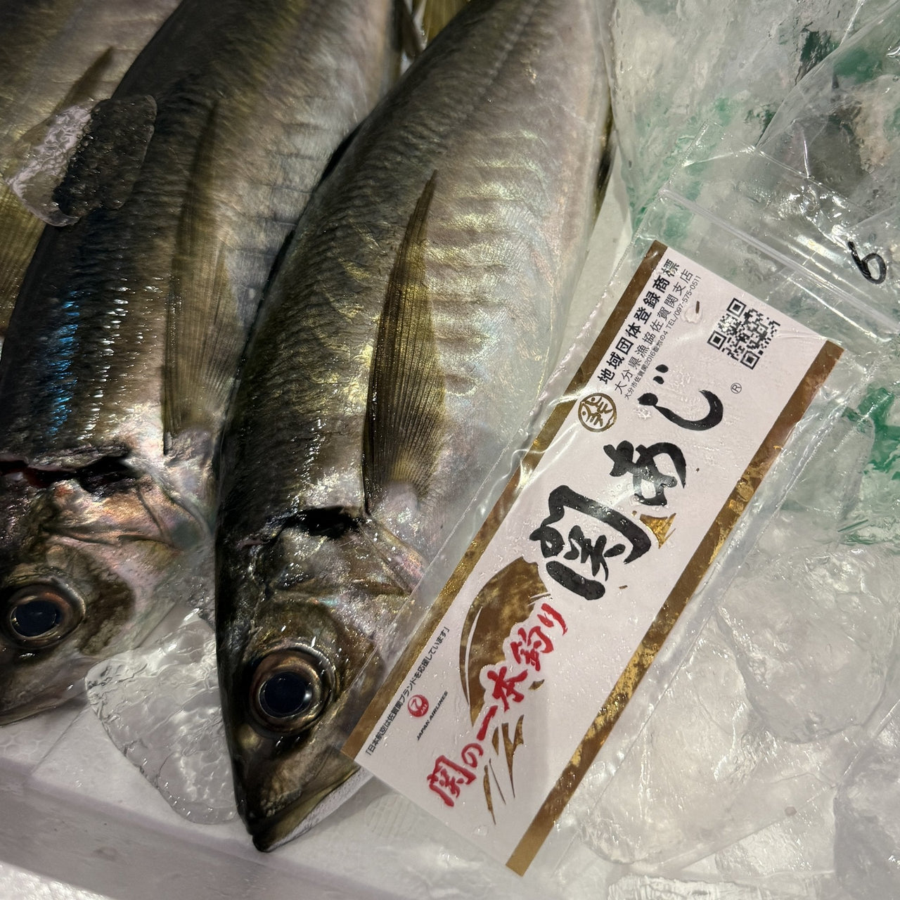 大分県佐賀関産 関アジ 通販 | 豊洲市場からお届け – 豊洲Okawari鮮魚店