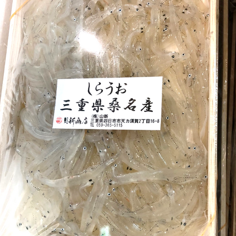 三重県桑名産 特選白魚