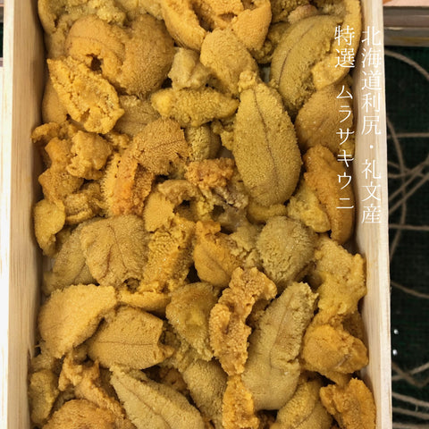 北海道礼文　特選ムラサキウニ