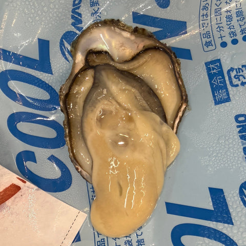 小豆島産 真牡蠣の開殻写真